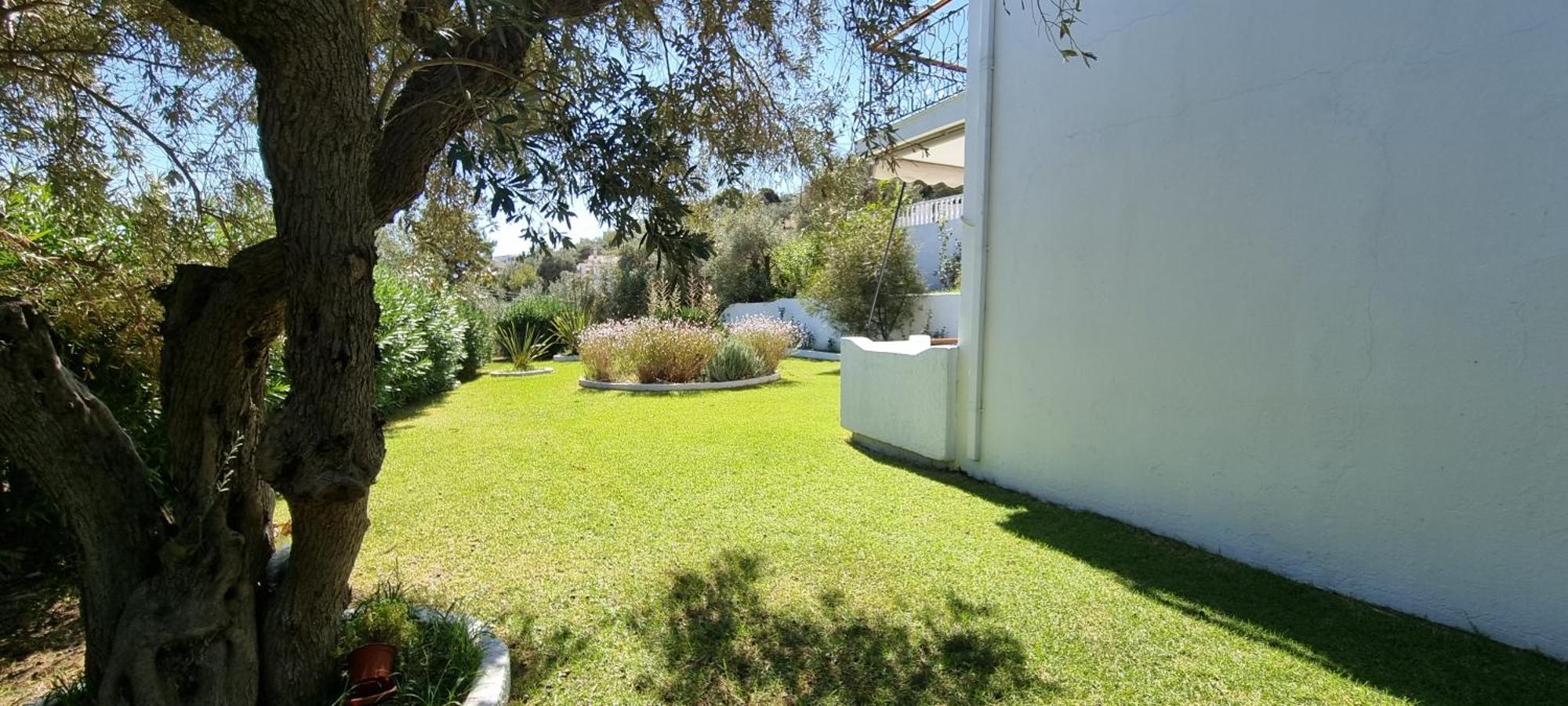 Olive Grove Studios Megali Ammos  Exterior foto